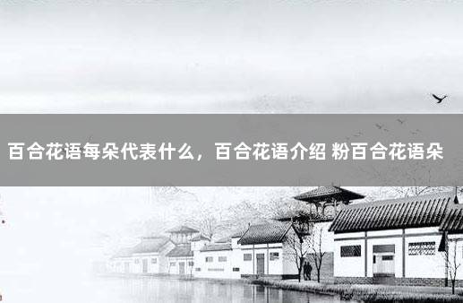 百合花语每朵代表什么，百合花语介绍 粉百合花语朵数