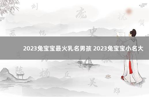 2023兔宝宝最火乳名男孩 2023兔宝宝小名大全