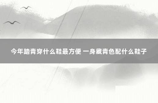 今年踏青穿什么鞋最方便 一身藏青色配什么鞋子
