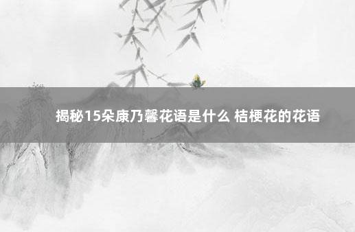 揭秘15朵康乃馨花语是什么 桔梗花的花语