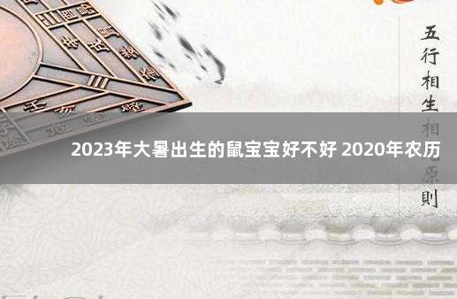 2023年大暑出生的鼠宝宝好不好 2020年农历3月出生的宝宝是什么命