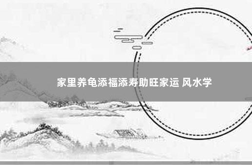 家里养龟添福添寿助旺家运 风水学