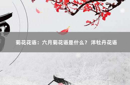 菊花花语：六月菊花语是什么？ 洋牡丹花语