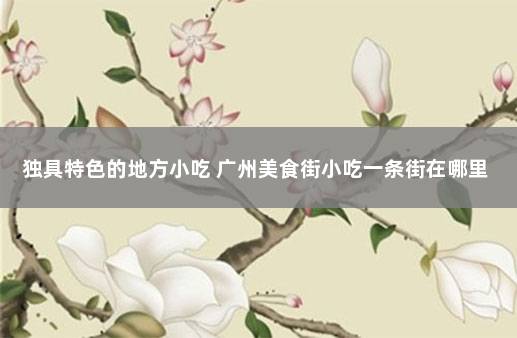 独具特色的地方小吃 广州美食街小吃一条街在哪里