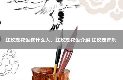 红玫瑰花语送什么人，红玫瑰花语介绍 红玫瑰音乐