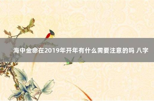 海中金命在2019年开年有什么需要注意的吗 八字入门