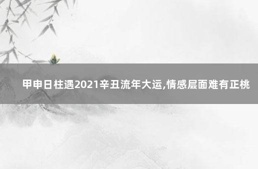 甲申日柱遇2021辛丑流年大运,情感层面难有正桃花 八字入门