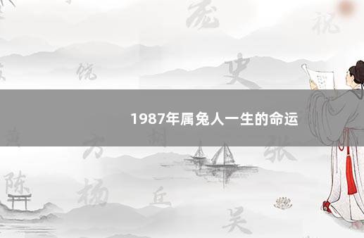 1987年属兔人一生的命运