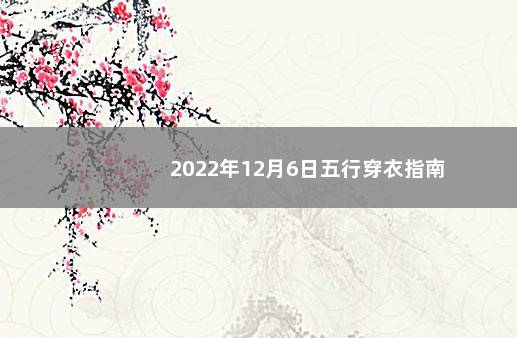 2022年12月6日五行穿衣指南