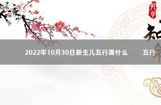 2022年10月30日新生儿五行属什么 　　五行八字一览