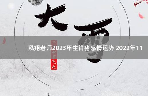 泓翔老师2023年生肖猪感情运势 2022年113号