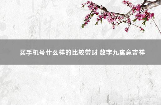 买手机号什么样的比较带财 数字九寓意吉祥