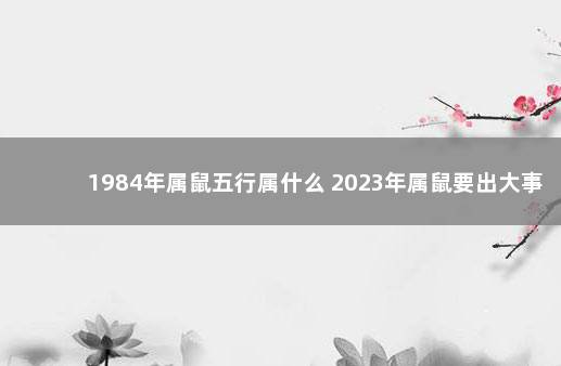 1984年属鼠五行属什么 2023年属鼠要出大事