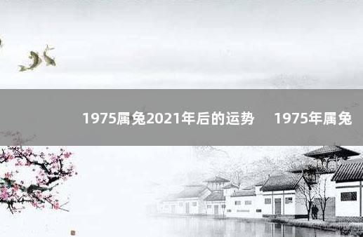 1975属兔2021年后的运势 　1975年属兔命运