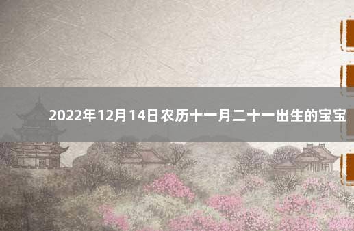 2022年12月14日农历十一月二十一出生的宝宝取名大全 11月23是农历几月几日