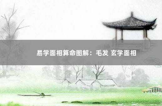 易学面相算命图解：毛发 玄学面相