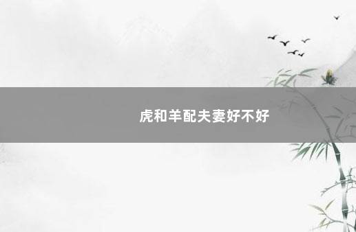 虎和羊配夫妻好不好