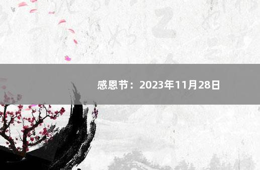 感恩节：2023年11月28日