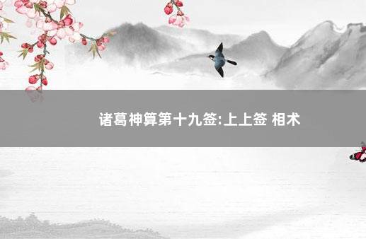 诸葛神算第十九签:上上签 相术