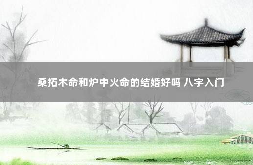 桑拓木命和炉中火命的结婚好吗 八字入门