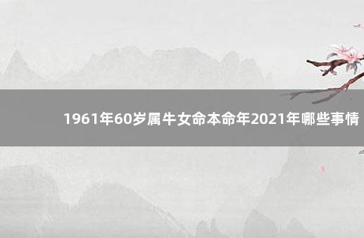 1961年60岁属牛女命本命年2021年哪些事情不能做 生肖分析