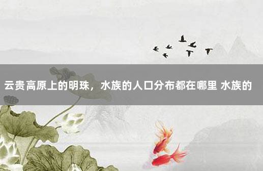 云贵高原上的明珠，水族的人口分布都在哪里 水族的民族特产