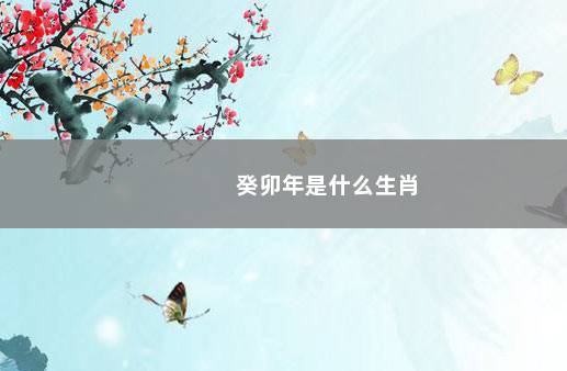 癸卯年是什么生肖