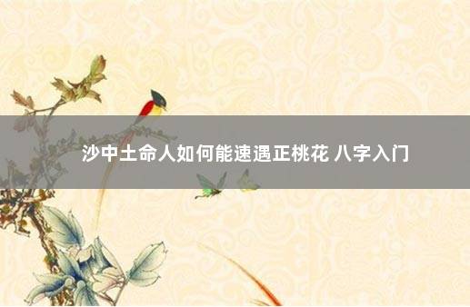 沙中土命人如何能速遇正桃花 八字入门