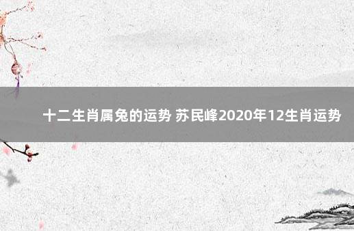 十二生肖属兔的运势 苏民峰2020年12生肖运势解析