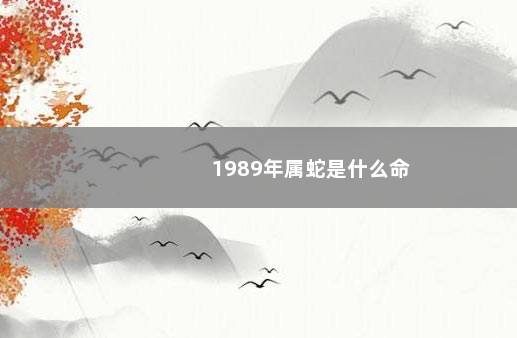 1989年属蛇是什么命