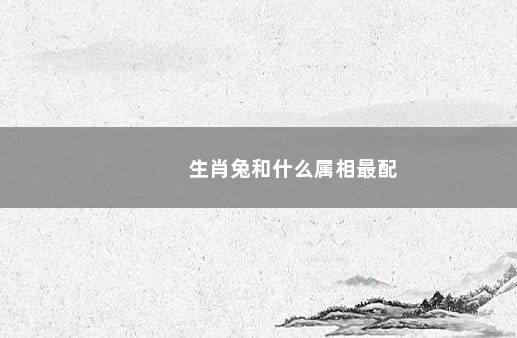 生肖兔和什么属相最配