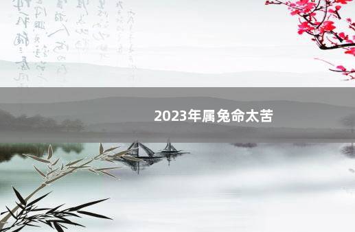 2023年属兔命太苦