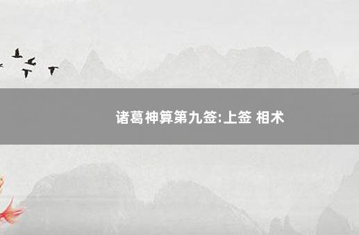 诸葛神算第九签:上签 相术