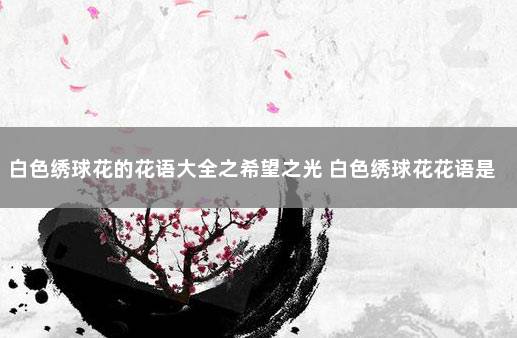 白色绣球花的花语大全之希望之光 白色绣球花花语是什么