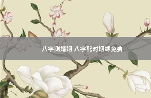 八字测婚姻 八字配对姻缘免费