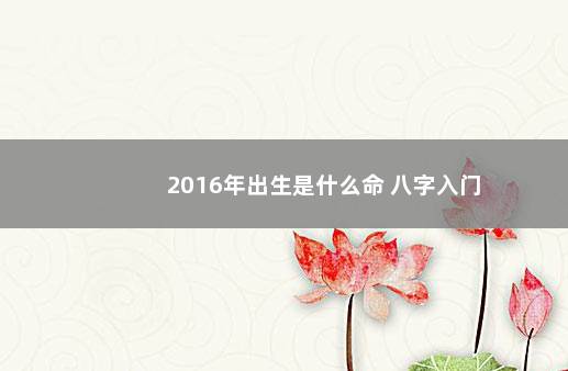 2016年出生是什么命 八字入门