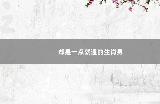 却是一点就通的生肖男