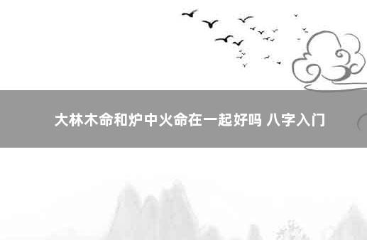 大林木命和炉中火命在一起好吗 八字入门