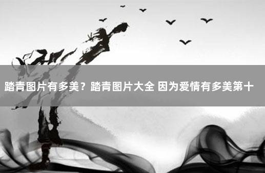 踏青图片有多美？踏青图片大全 因为爱情有多美第十集