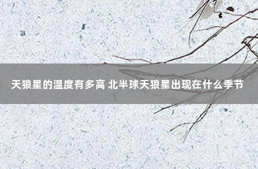 天狼星的温度有多高 北半球天狼星出现在什么季节