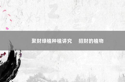 聚财绿植种植讲究 　招财的植物