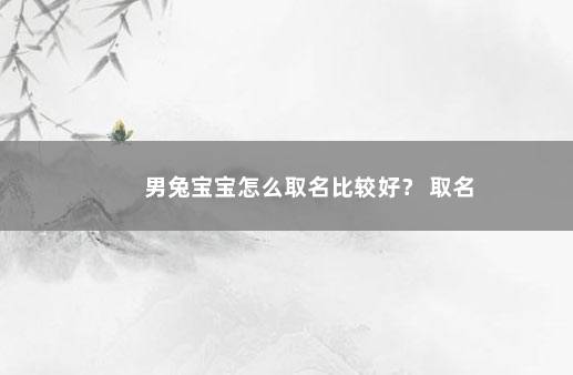 男兔宝宝怎么取名比较好？ 取名