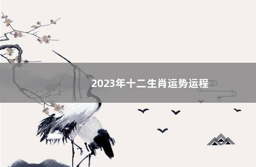 2023年十二生肖运势运程