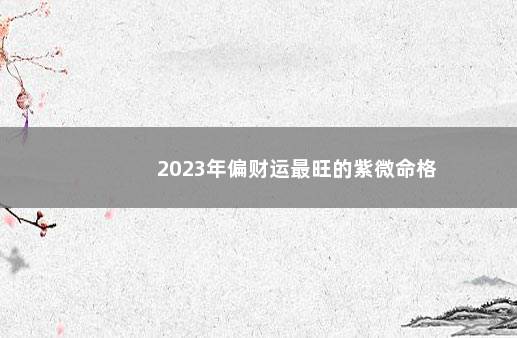 2023年偏财运最旺的紫微命格