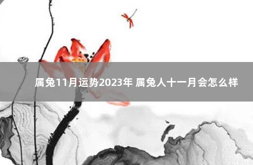 属兔11月运势2023年 属兔人十一月会怎么样 2022年12月7日