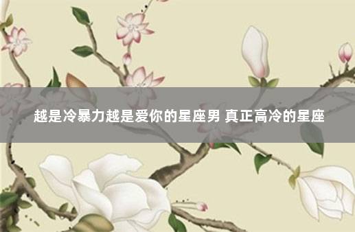 越是冷暴力越是爱你的星座男 真正高冷的星座