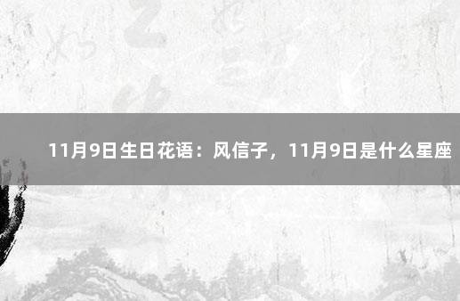 11月9日生日花语：风信子，11月9日是什么星座？ 12月种风信子能开花吗