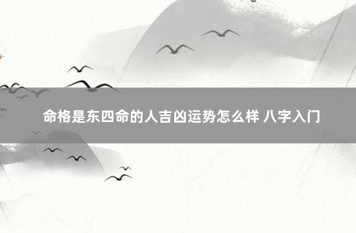 命格是东四命的人吉凶运势怎么样 八字入门