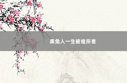 属兔人一生被谁所害