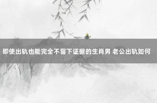 即使出轨也能完全不留下证据的生肖男 老公出轨如何取证